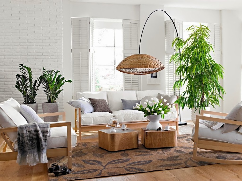 decoracion-plantas-feng-shui